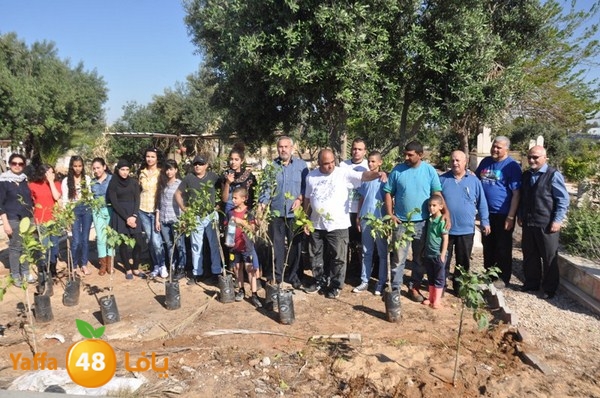 ashjar taso 0328 (42).JPG